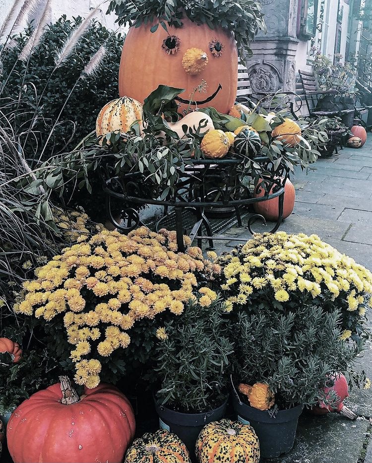 Herbstbild